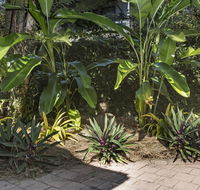 Nineteen on Nudl - Yamba Accommodation