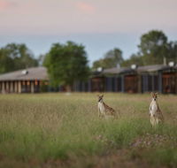 Wildman Wilderness Lodge - Yamba Accommodation