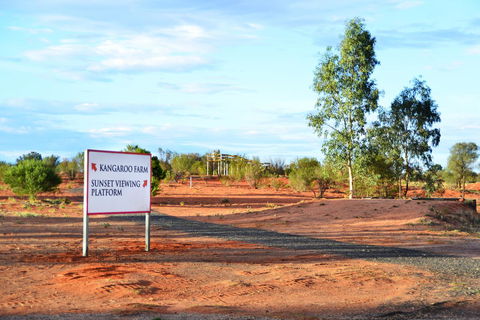 Erldunda Desert Oaks Resort - Yamba Accommodation 28