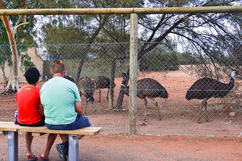 Erldunda Desert Oaks Resort - Yamba Accommodation 21