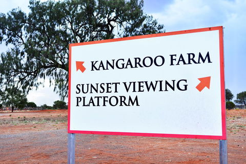 Erldunda Desert Oaks Resort - Yamba Accommodation 30