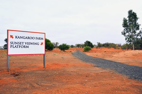 Erldunda Desert Oaks Resort - Yamba Accommodation 18