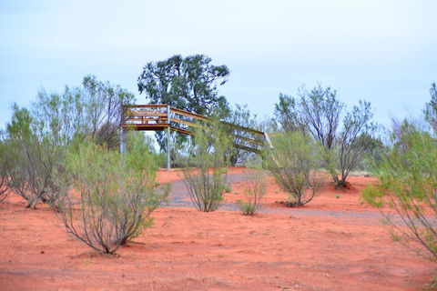 Erldunda Desert Oaks Resort - Yamba Accommodation 42