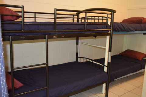 Frogs-Hollow Backpackers - Yamba Accommodation 7