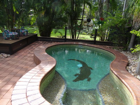 DARWIN'S SHADY ACRES RETREAT - Yamba Accommodation 13