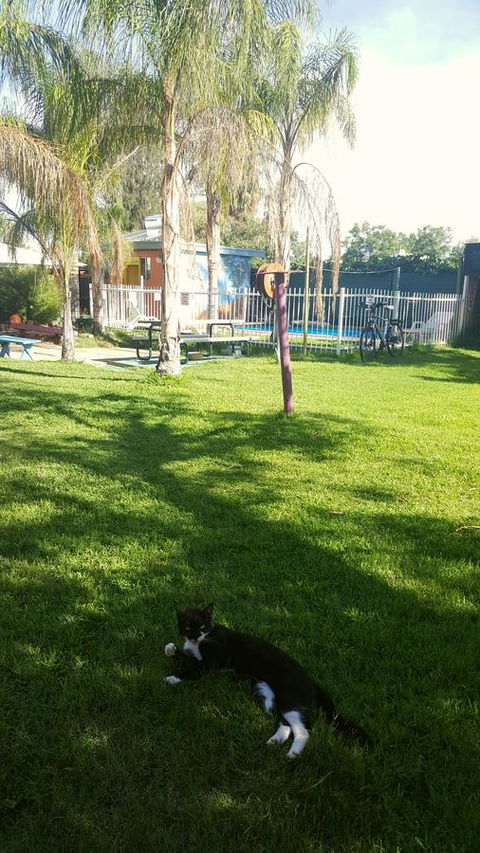 Alice Lodge - Yamba Accommodation 26