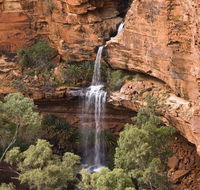 Kings Creek Station - Yamba Accommodation