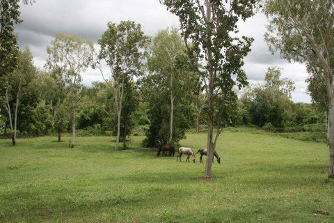Mount Bundy Station - Yamba Accommodation 25
