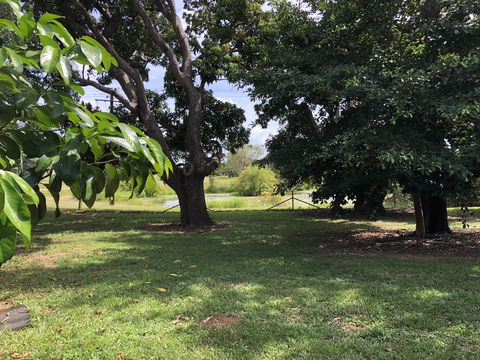Mount Bundy Station - Yamba Accommodation 4