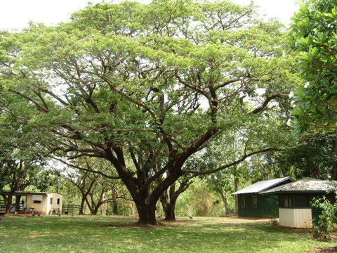 Mount Bundy Station - Yamba Accommodation 26