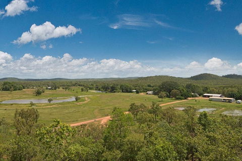 Mount Bundy Station - Yamba Accommodation 2