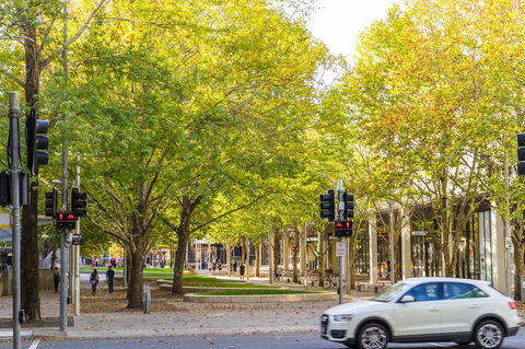 Highgate Executive Apartment City Walk Canberra - Yamba Accommodation 37