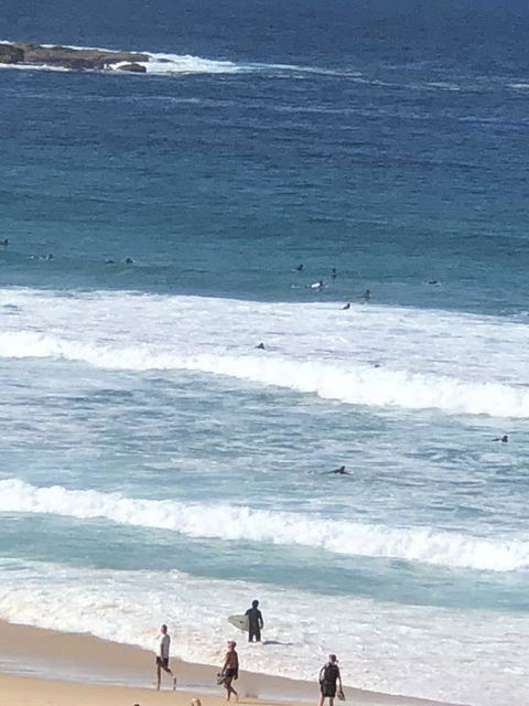Bondi 38 Serviced Apartments - Yamba Accommodation 2