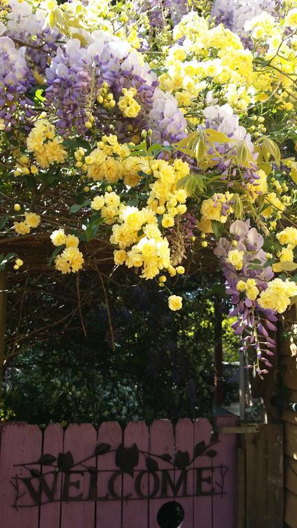 Bowral Road Bed And Breakfast - Yamba Accommodation 0