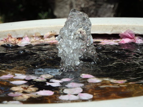 Bowral Road Bed And Breakfast - Yamba Accommodation 2