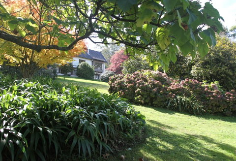 Boyanda At Ferny Creek - Yamba Accommodation 2
