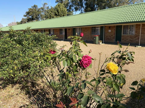 Bridge Motel Wellington - Yamba Accommodation 1