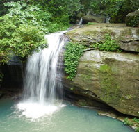 Buderim Forest Hideaway - Yamba Accommodation