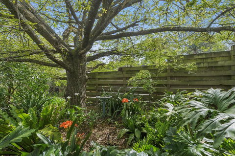 Bungunyah Apartments - Yamba Accommodation 2