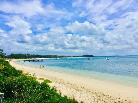 C A L M At Beautiful Shoal Bay - Yamba Accommodation 3