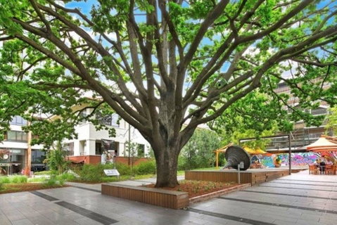 Canberra Luxury Apartment 8 - Yamba Accommodation 1