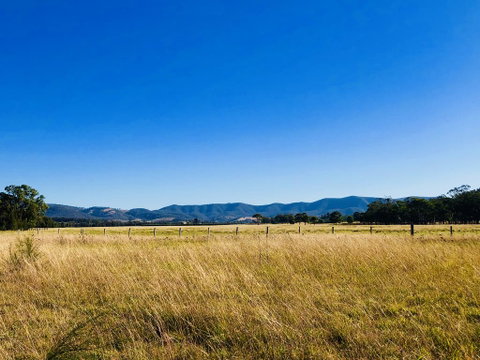 Charlotte Tiny House - Yamba Accommodation 2