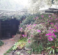 Charming country house close to Grafton - Yamba Accommodation