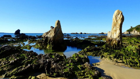 Coastal Comfort Motel - Yamba Accommodation 3