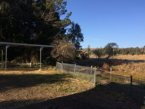 Cockatoo Corner - Armidale - Yamba Accommodation 1