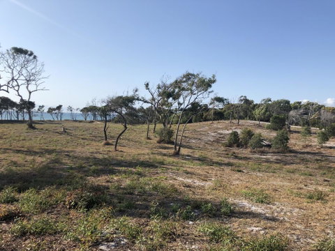 COONARR BEACH ( BUNDABERG )CAMPING - Yamba Accommodation 2