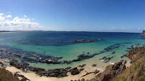 Coral Sands 3 - Pebbly Beach - Yamba Accommodation 2