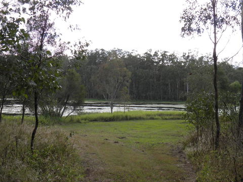Coucals Cottage - Yamba Accommodation 2