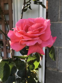 Book Mulgrave Accommodation Vacations Yamba Accommodation Yamba Accommodation