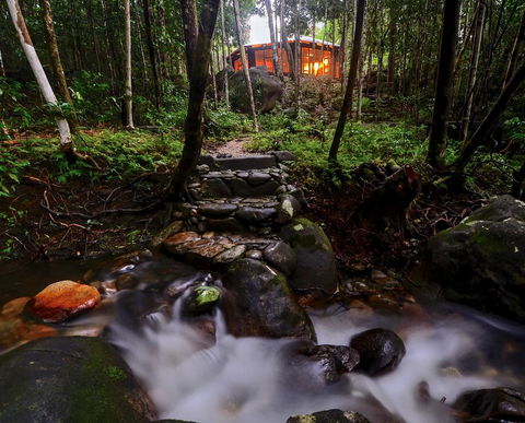 Daintree Cascades - Yamba Accommodation 0
