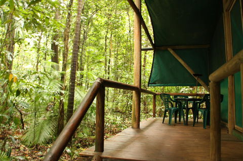 Daintree Crocodylus - Yamba Accommodation 1
