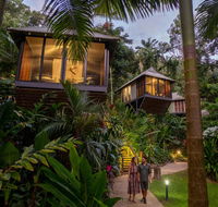 Daintree Ecolodge - Yamba Accommodation
