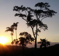Daintree Holiday Homes - Yurara - Yamba Accommodation