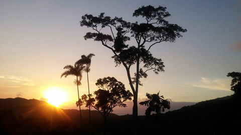 Daintree Holiday Homes - Yurara - Yamba Accommodation 0