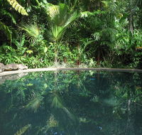 Daintree Rainforest Retreat Motel - Yamba Accommodation