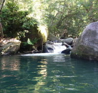 Daintree Secrets Rainforest Sanctuary - Yamba Accommodation