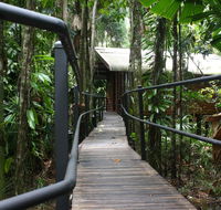 Daintree Wilderness Lodge - Yamba Accommodation
