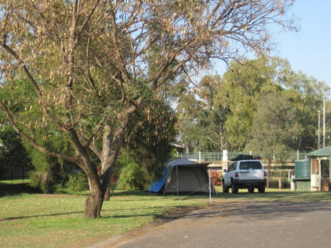 Dalby Tourist Park - Yamba Accommodation 3