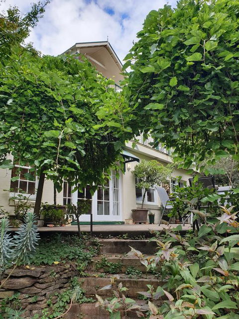 Davaar Hideaway Leura - Yamba Accommodation 0