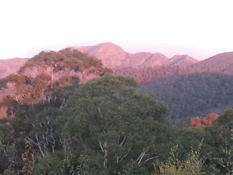 Day Dream Cottage - Yamba Accommodation 2