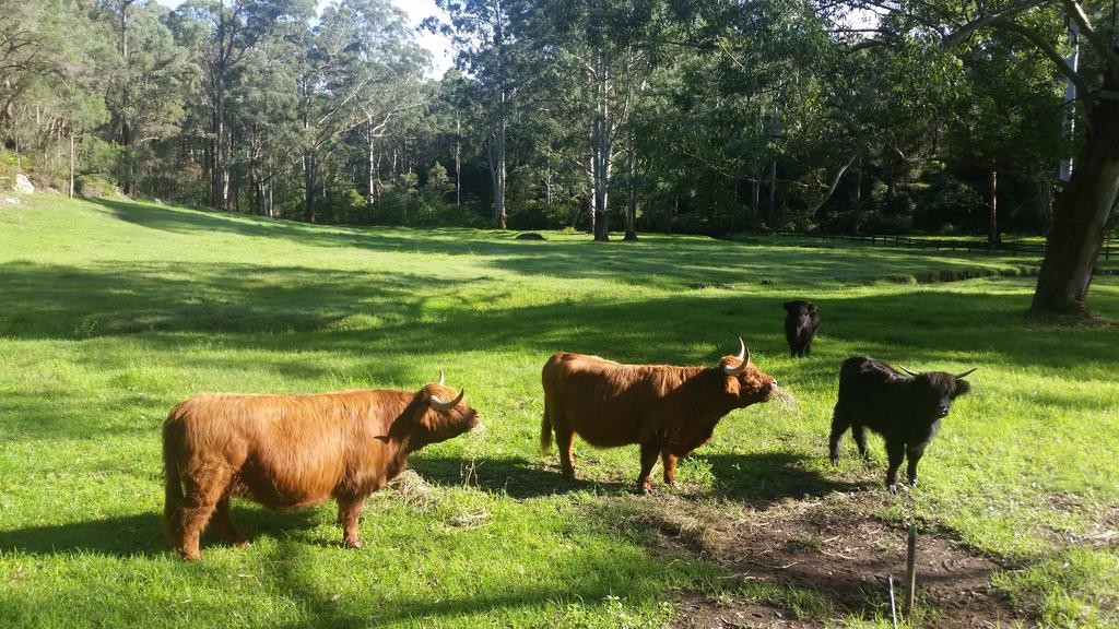 Kenthurst NSW Yamba Accommodation