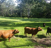 Dingley Dell - Yamba Accommodation