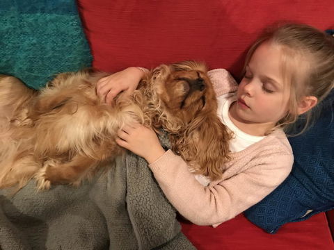 Dingup House - Yamba Accommodation 2