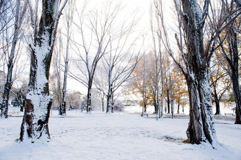 Discovery Parks - Jindabyne - Yamba Accommodation 3