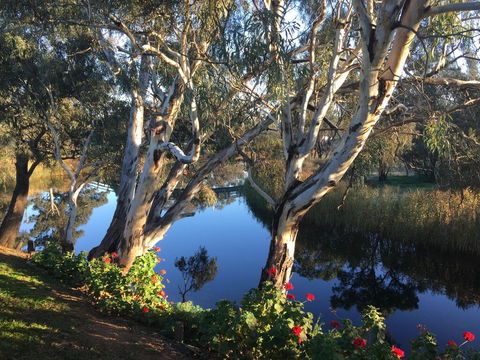 Donald Riverside Motel - Yamba Accommodation 0