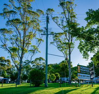 Dorrigo Mountain Holiday Park - Yamba Accommodation